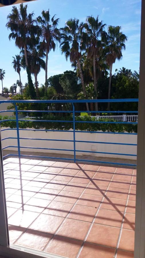 One Bedroom Appartement At L'Eucaliptus 400 M Away From The Beach With Sea View Shared Pool And Furnished Terrace 外观 照片