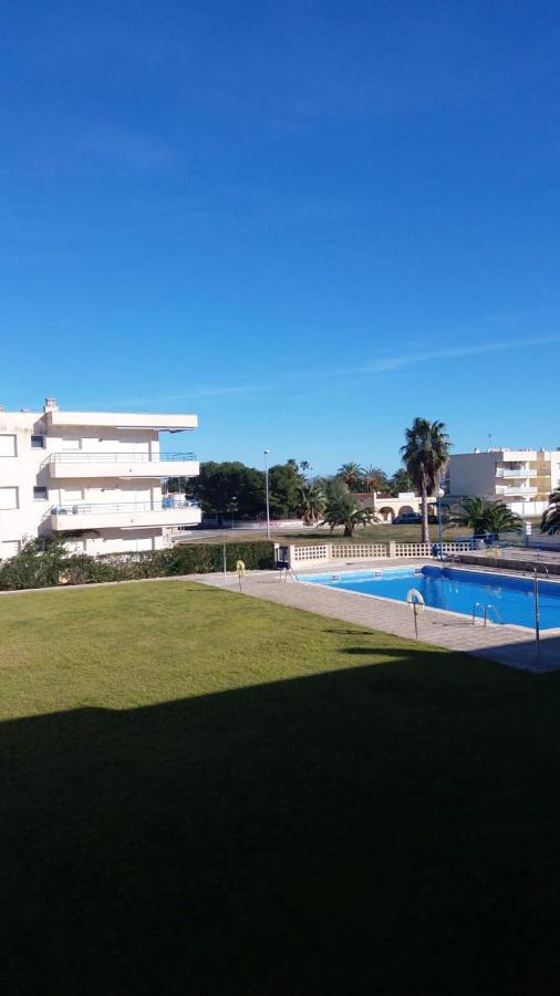 One Bedroom Appartement At L'Eucaliptus 400 M Away From The Beach With Sea View Shared Pool And Furnished Terrace 外观 照片